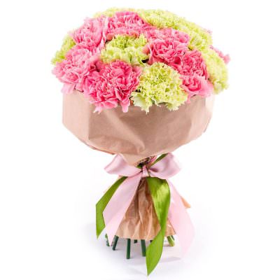 Букет из гвоздик «Цветочное созвездие»