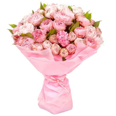 Монобукет из розовых пионов «Розовый Шарм»