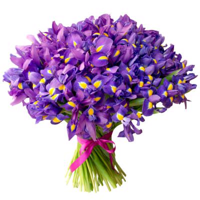 Монобукет ирисов «Лиловый вальс»