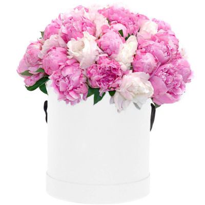 Коробка с пионами «Розовая нежность»