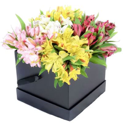 Живые цветы в шляпной коробке «Яркий вихрь»