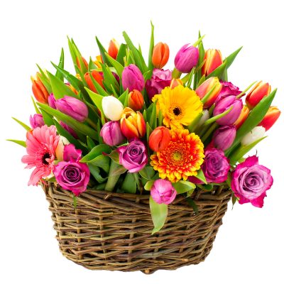 Цветы в корзине живые «Солнечный радуж»